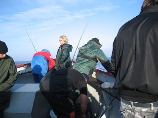HSAO320240Hochseeangeln Ostsee 2009 034