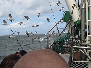 Hochsee 2012IMG_1946