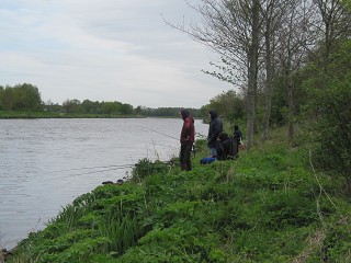 LFV2012IMG_1815