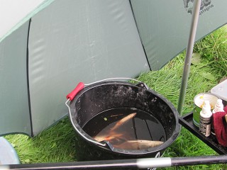 LFV Jugend 2011IMG_0241
