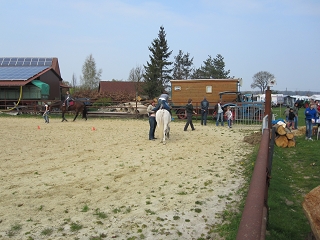 Reitundfahr2011IMG_0081