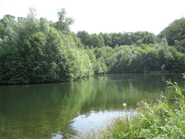 Tonkuhle1+3