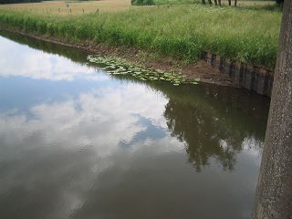 Varenech Stau  IIIVarenech Stau III Hunte 009