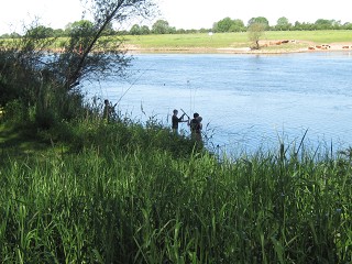 Weser2012IMG_1856
