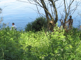Weser2012IMG_1861