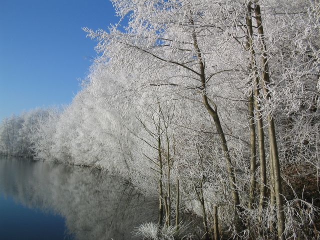 Winter TonWinterton2007 012