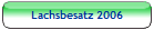 Lachsbesatz 2006