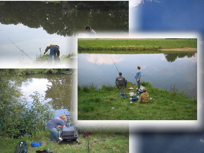 colagewb2008