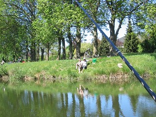 k-320-240Hegefischen 2008 020
